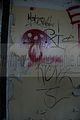 heilanstalt milbitz graffiti_016